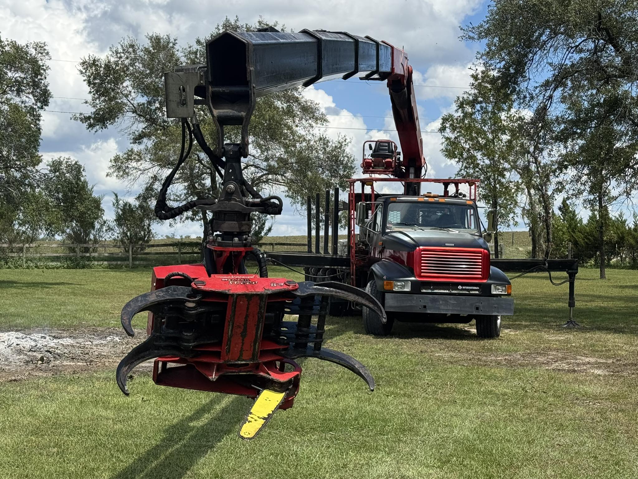 Can You Book Tree Removal During the Winter in Levy County?