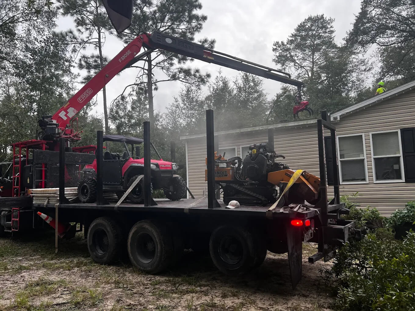 How to Find Trusted Tree Contractors in North Central Florida