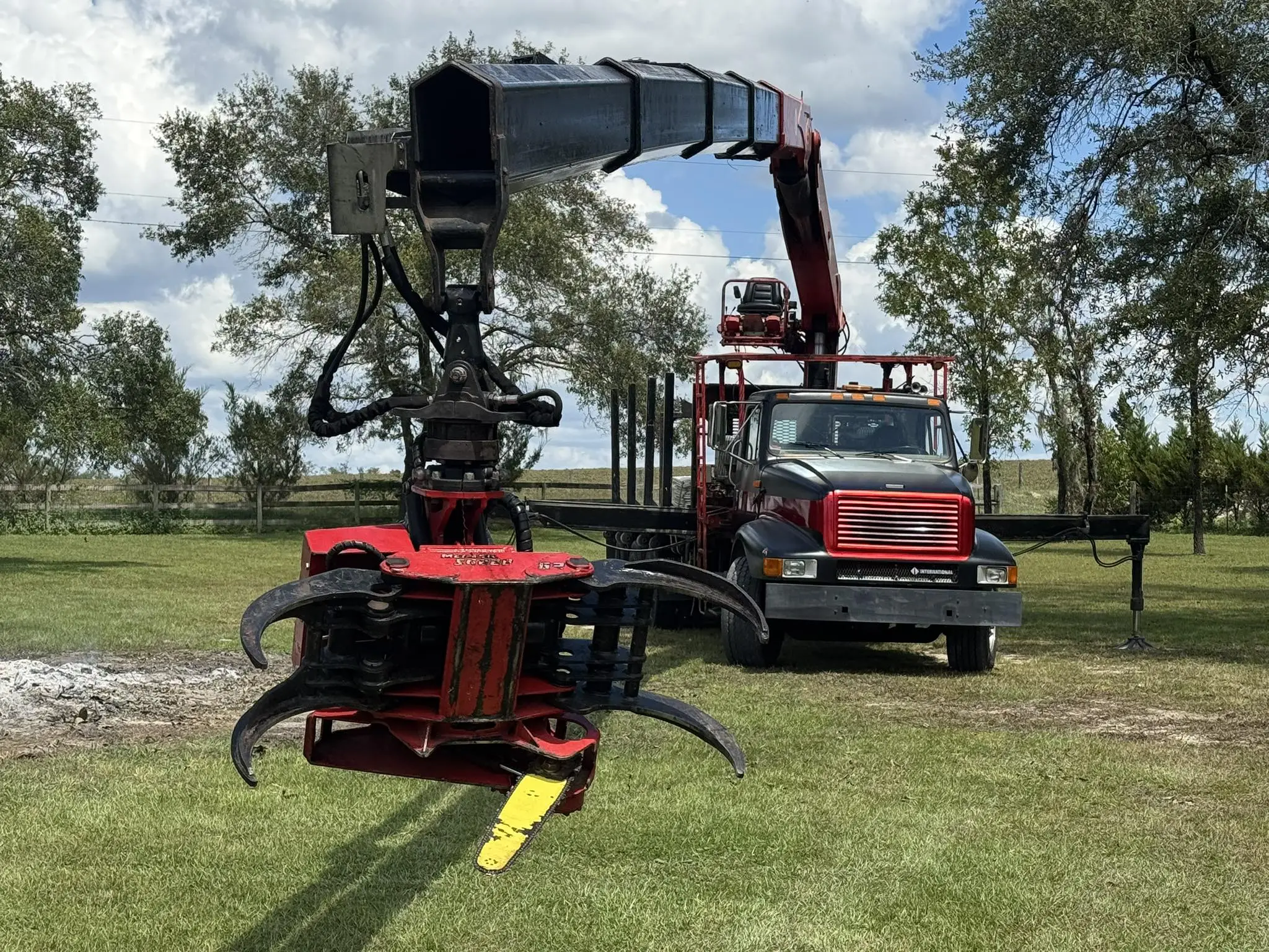 Can You Book Tree Removal During the Winter in Levy County?